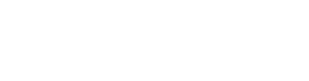 es financiado por la unión europea rgb white